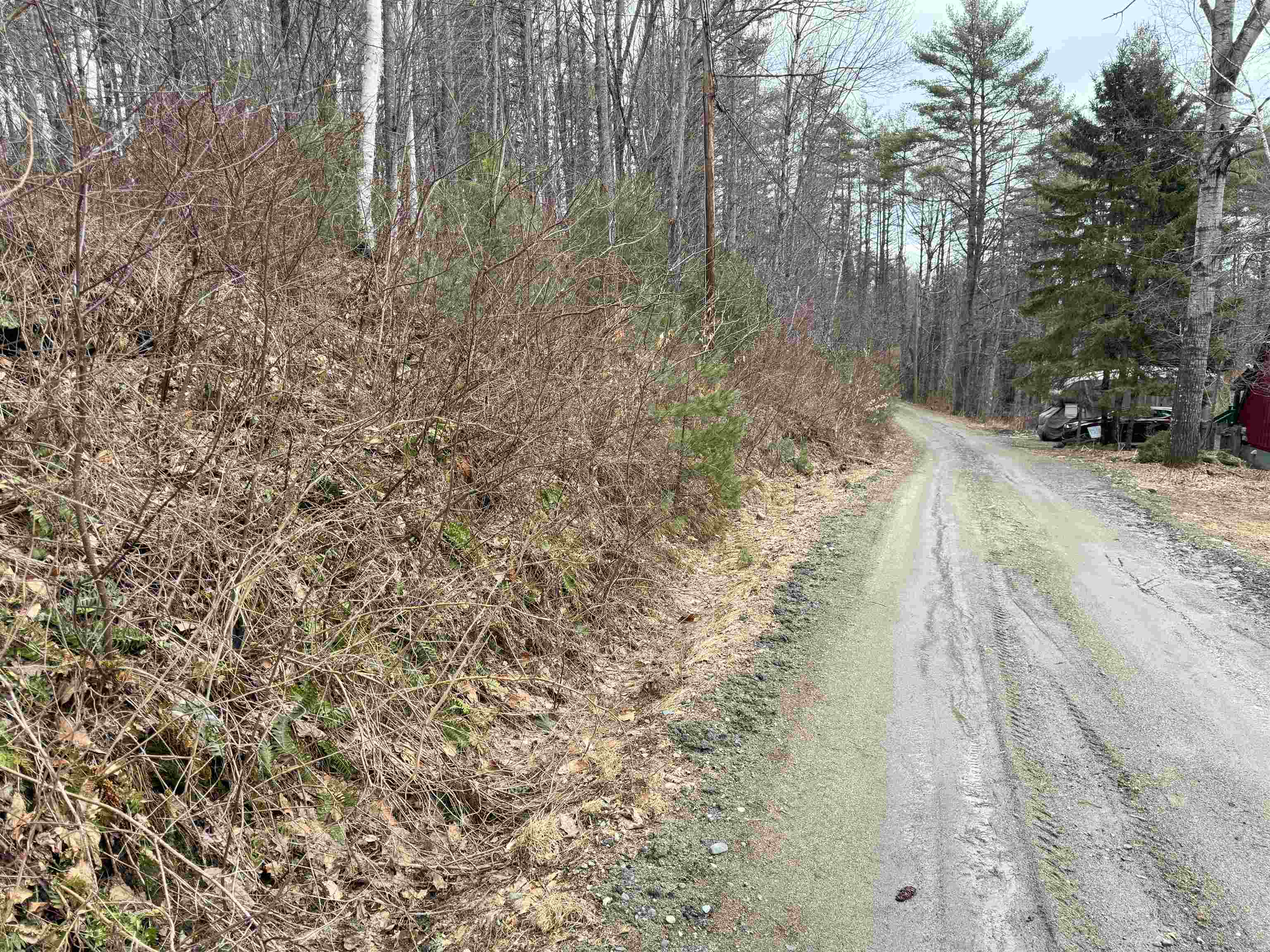170 Hodge Hill Road Lisbon, NH 03585 - Photo 20 of 28 Gallery Image 20