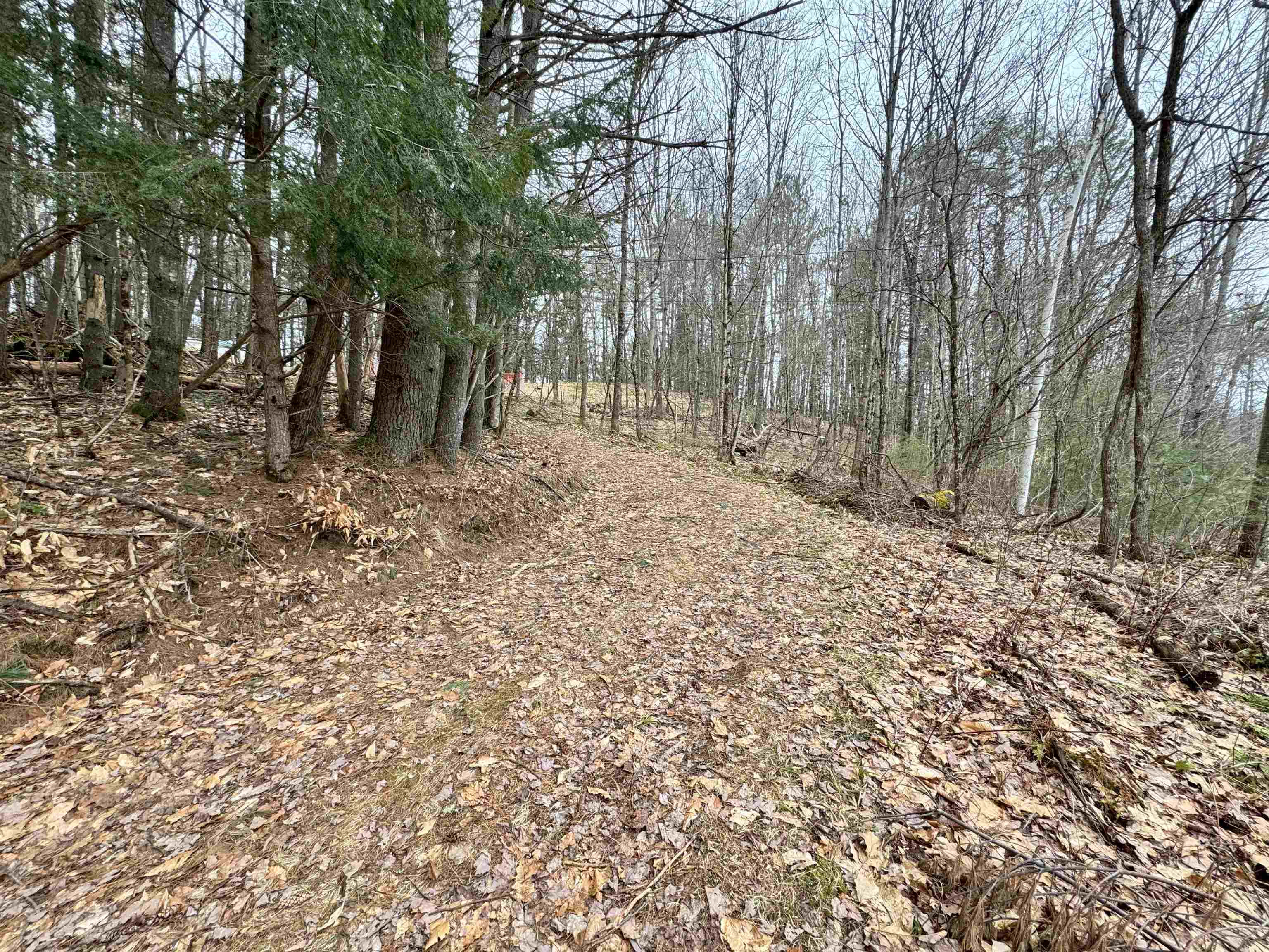 170 Hodge Hill Road Lisbon, NH 03585 - Photo 22 of 28 Gallery Image 22