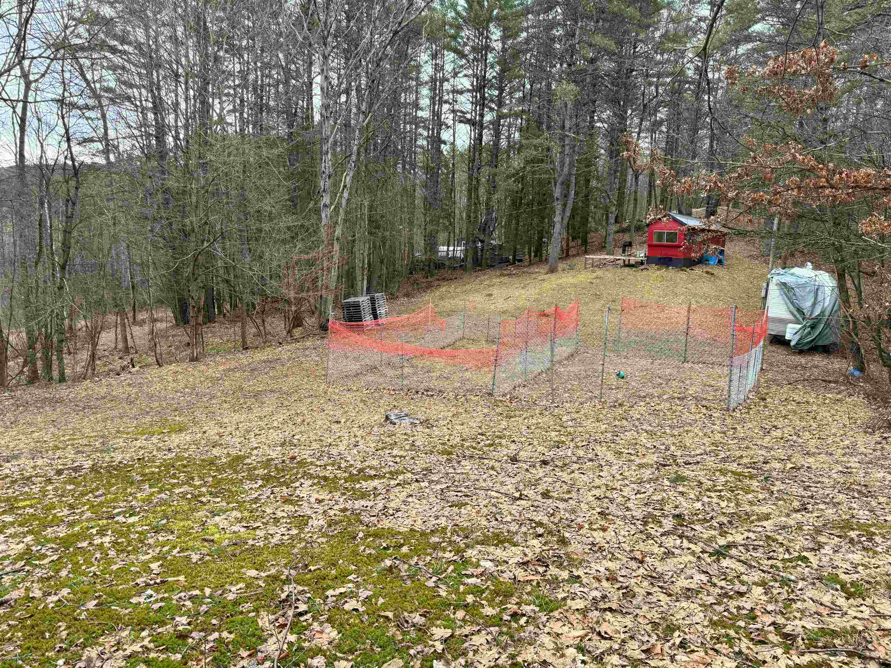 170 Hodge Hill Road Lisbon, NH 03585 - Photo 24 of 28 Gallery Image 24