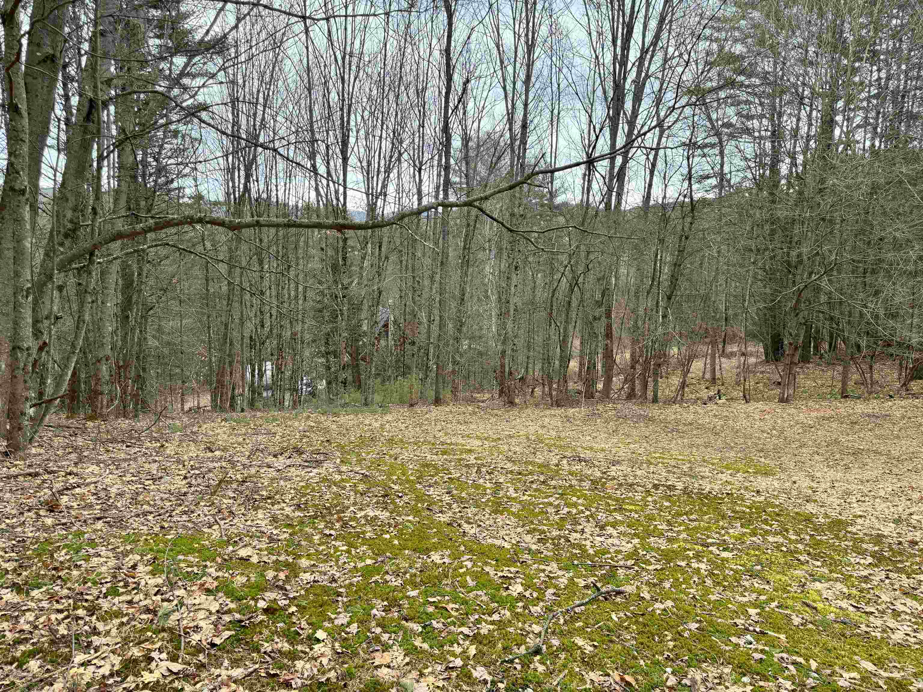 170 Hodge Hill Road Lisbon, NH 03585 - Photo 25 of 28 Gallery Image 25