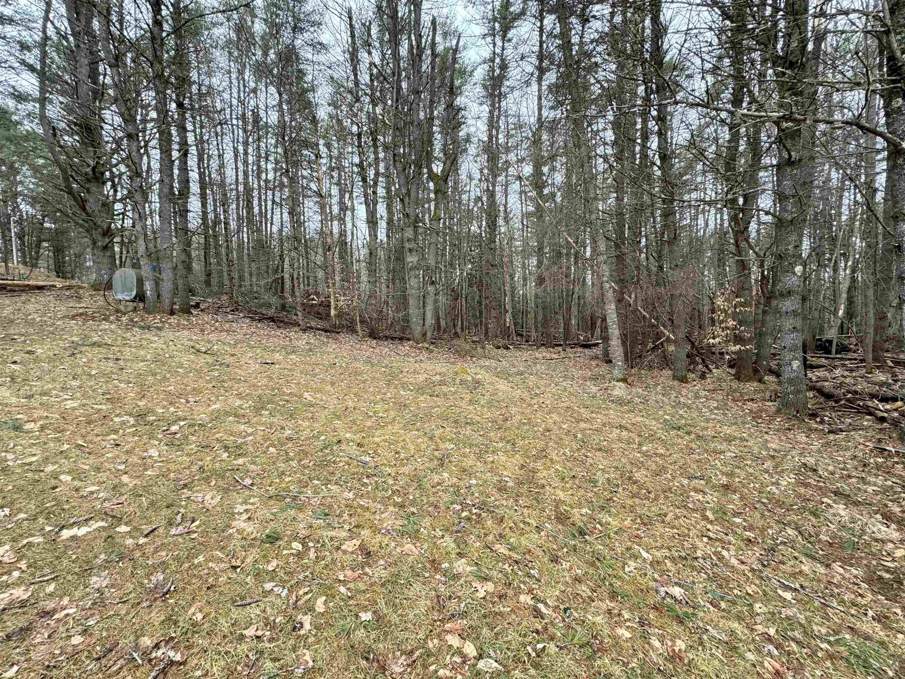 170 Hodge Hill Road Lisbon, NH 03585 - Photo 6 of 28 Gallery Image 6