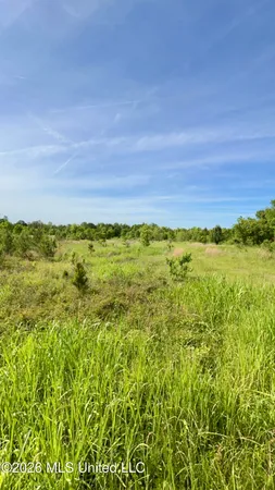 $2,100,000 | South Pearson Road, Pearl, MS 39208