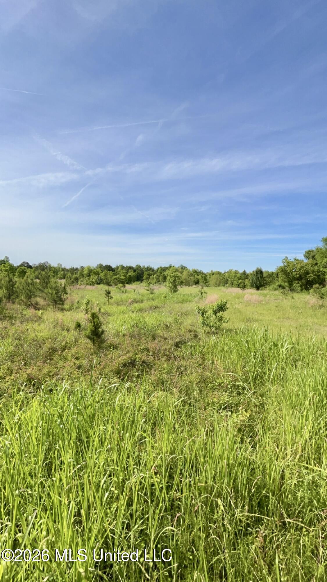 South Pearson Road Pearl, MS 39208 - Photo 11 of 30 IMG_8454