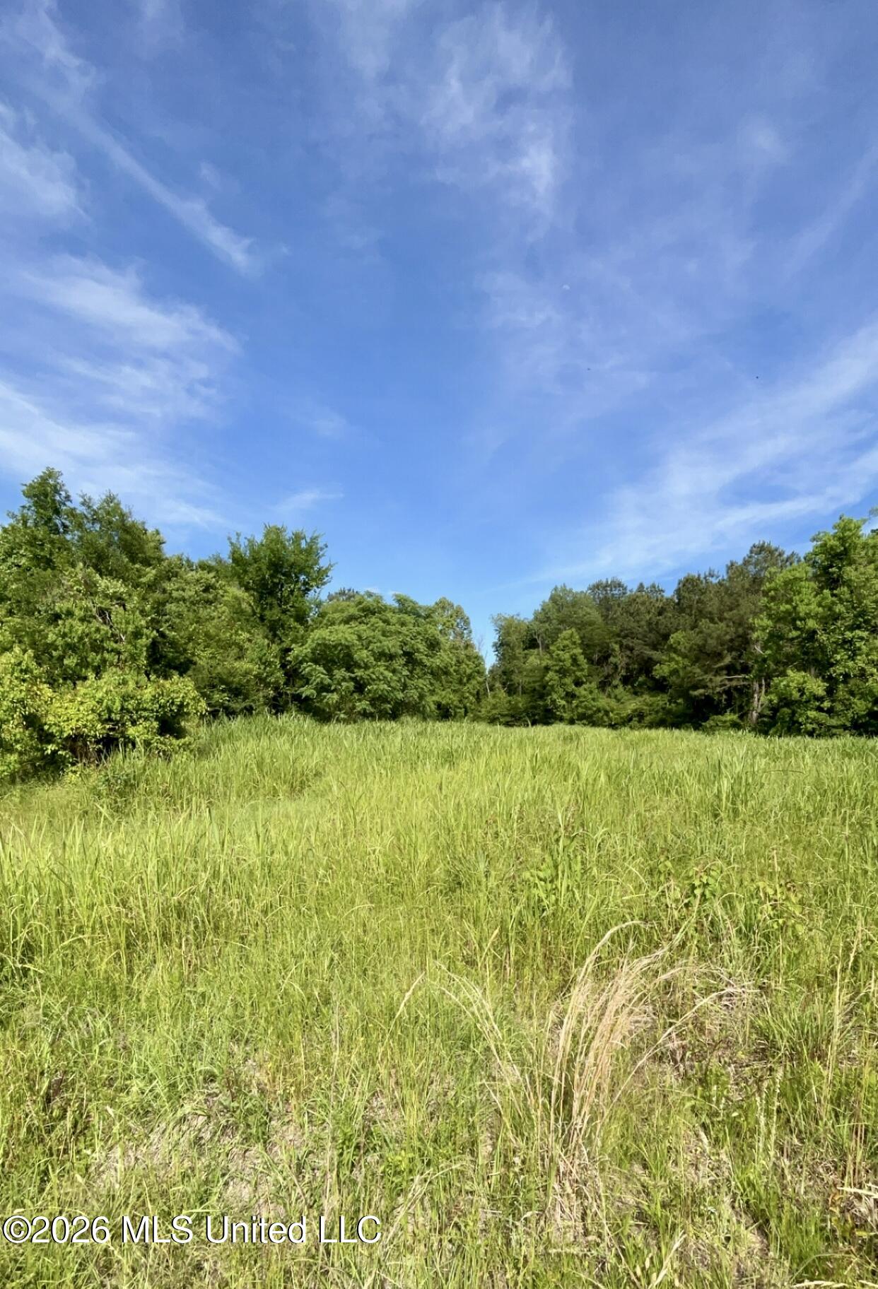 South Pearson Road Pearl, MS 39208 - Photo 12 of 30 IMG_8455