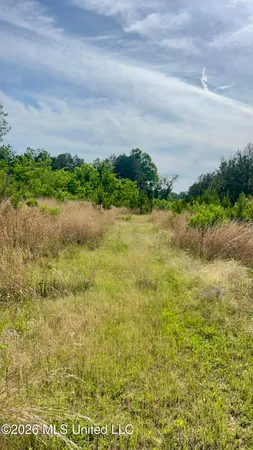 $2,100,000 | South Pearson Road, Pearl, MS 39208