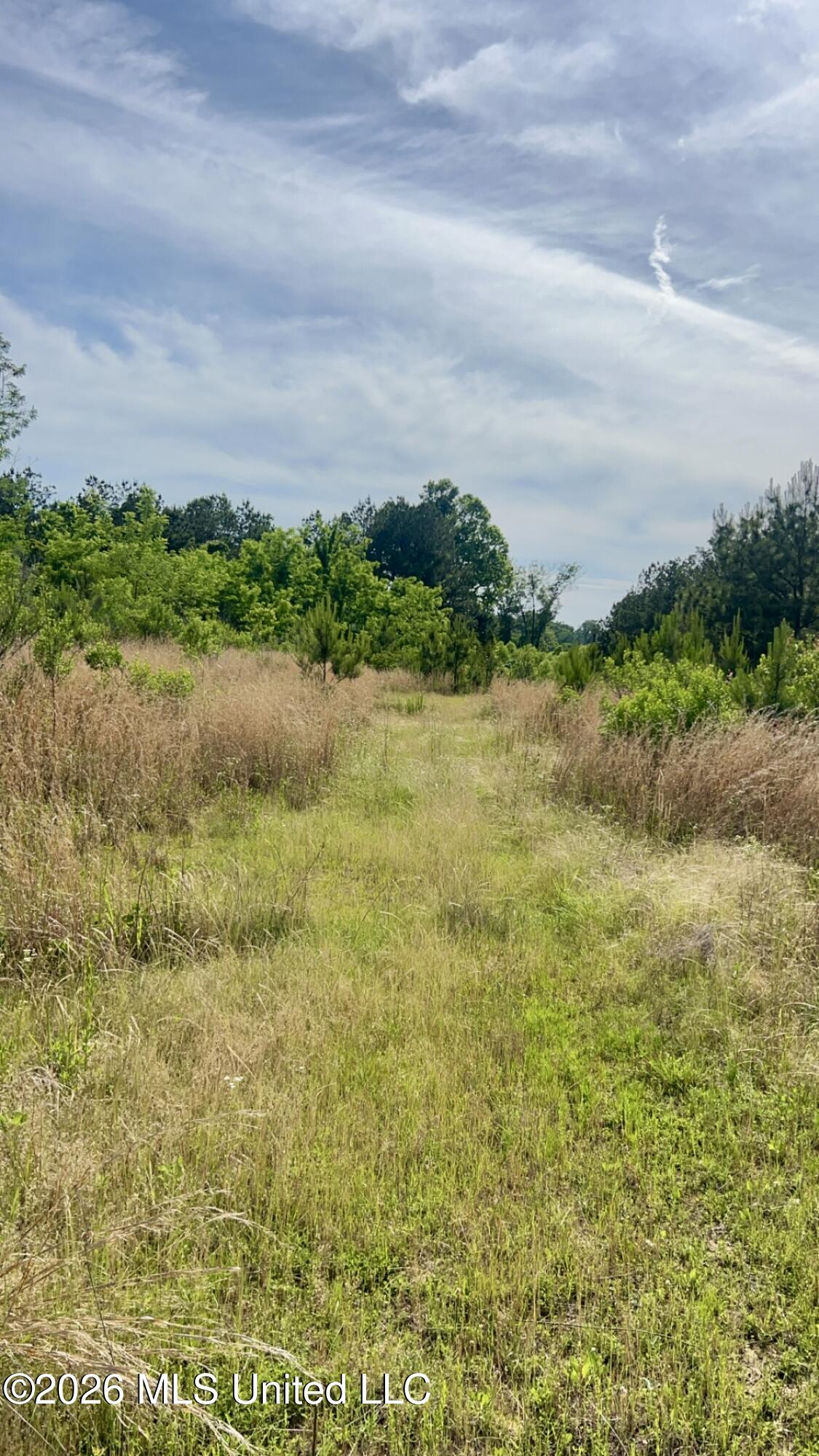South Pearson Road Pearl, MS 39208 - Photo 13 of 30 IMG_8459