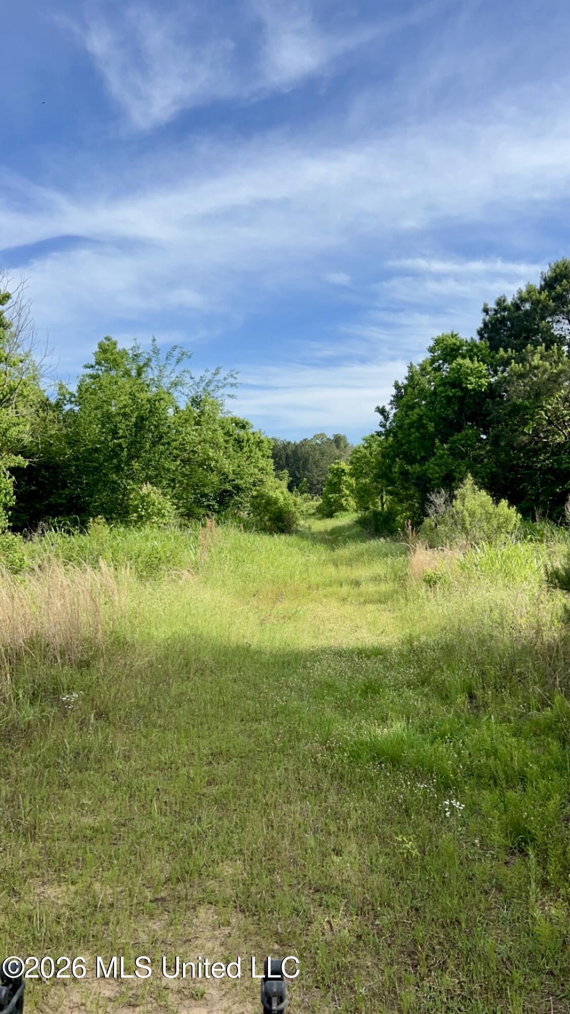 South Pearson Road Pearl, MS 39208 - Photo 14 of 30 IMG_8461