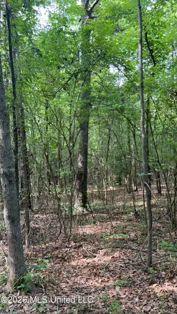 $2,100,000 | South Pearson Road, Pearl, MS 39208