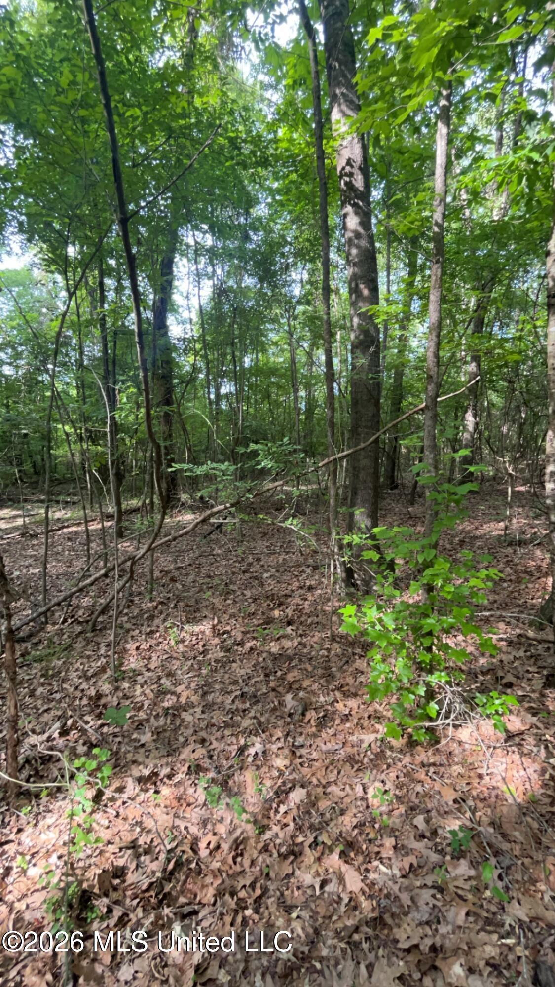 South Pearson Road Pearl, MS 39208 - Photo 18 of 30 IMG_8466