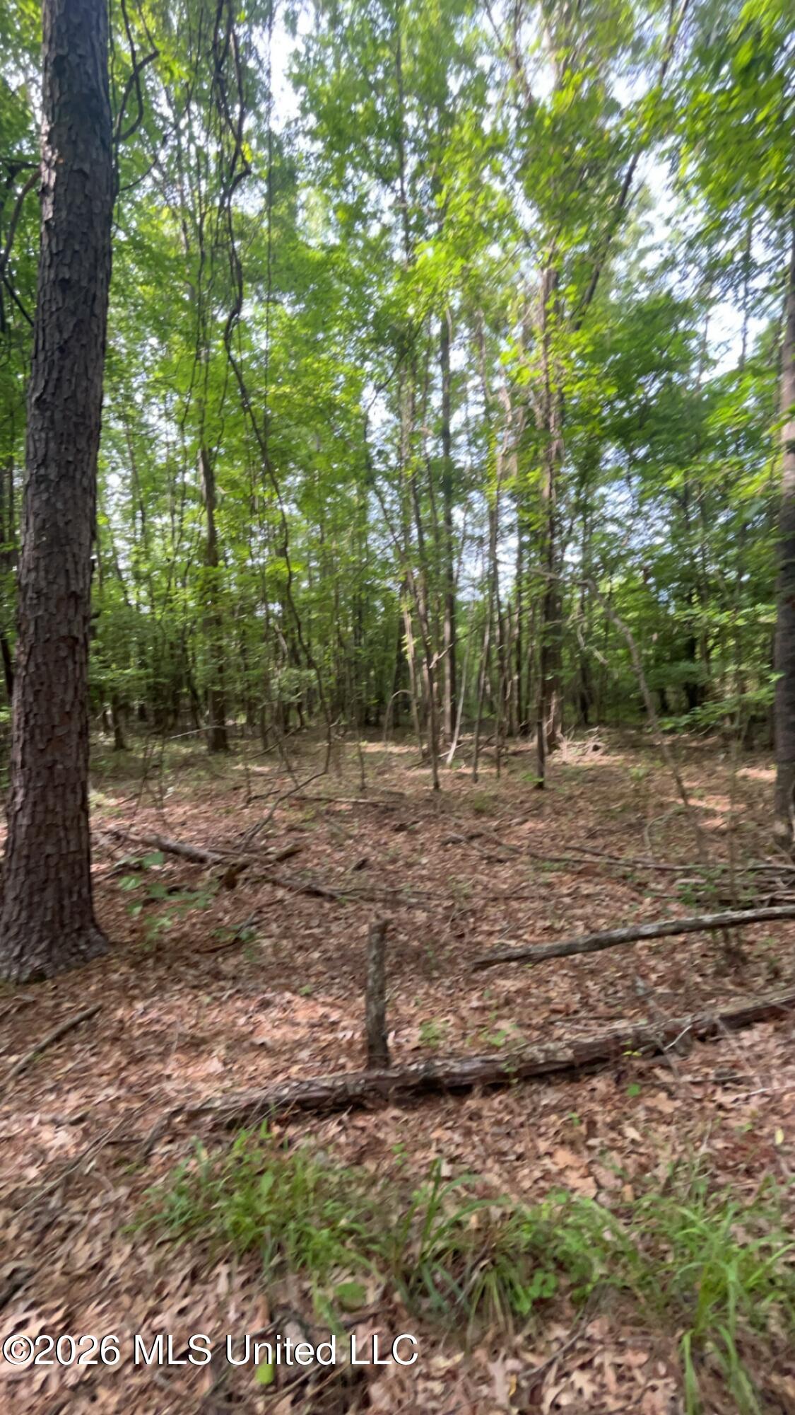 South Pearson Road Pearl, MS 39208 - Photo 19 of 30 IMG_8467