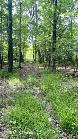 $2,100,000 | South Pearson Road, Pearl, MS 39208