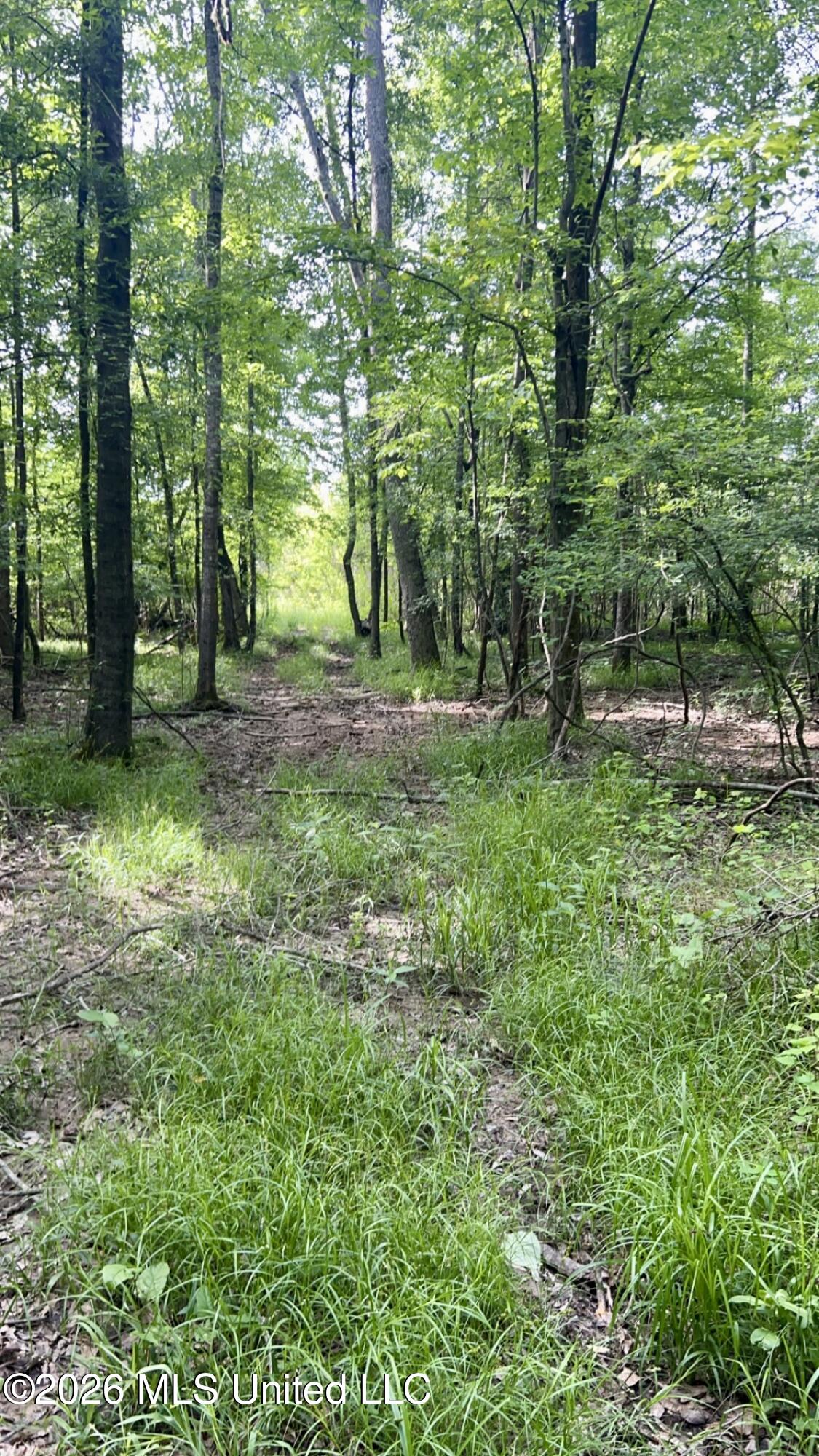 South Pearson Road Pearl, MS 39208 - Photo 20 of 30 IMG_8468