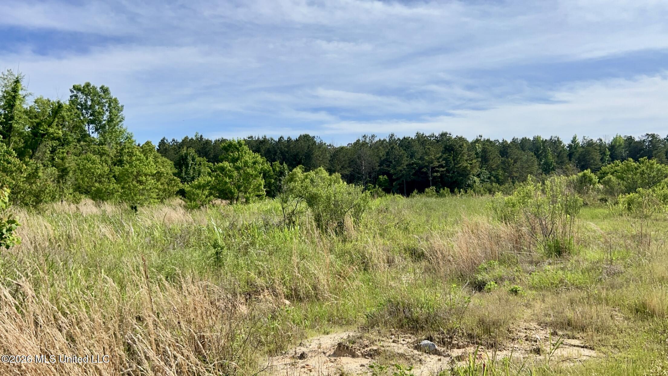 South Pearson Road Pearl, MS 39208 - Photo 2 of 30 IMG_8446