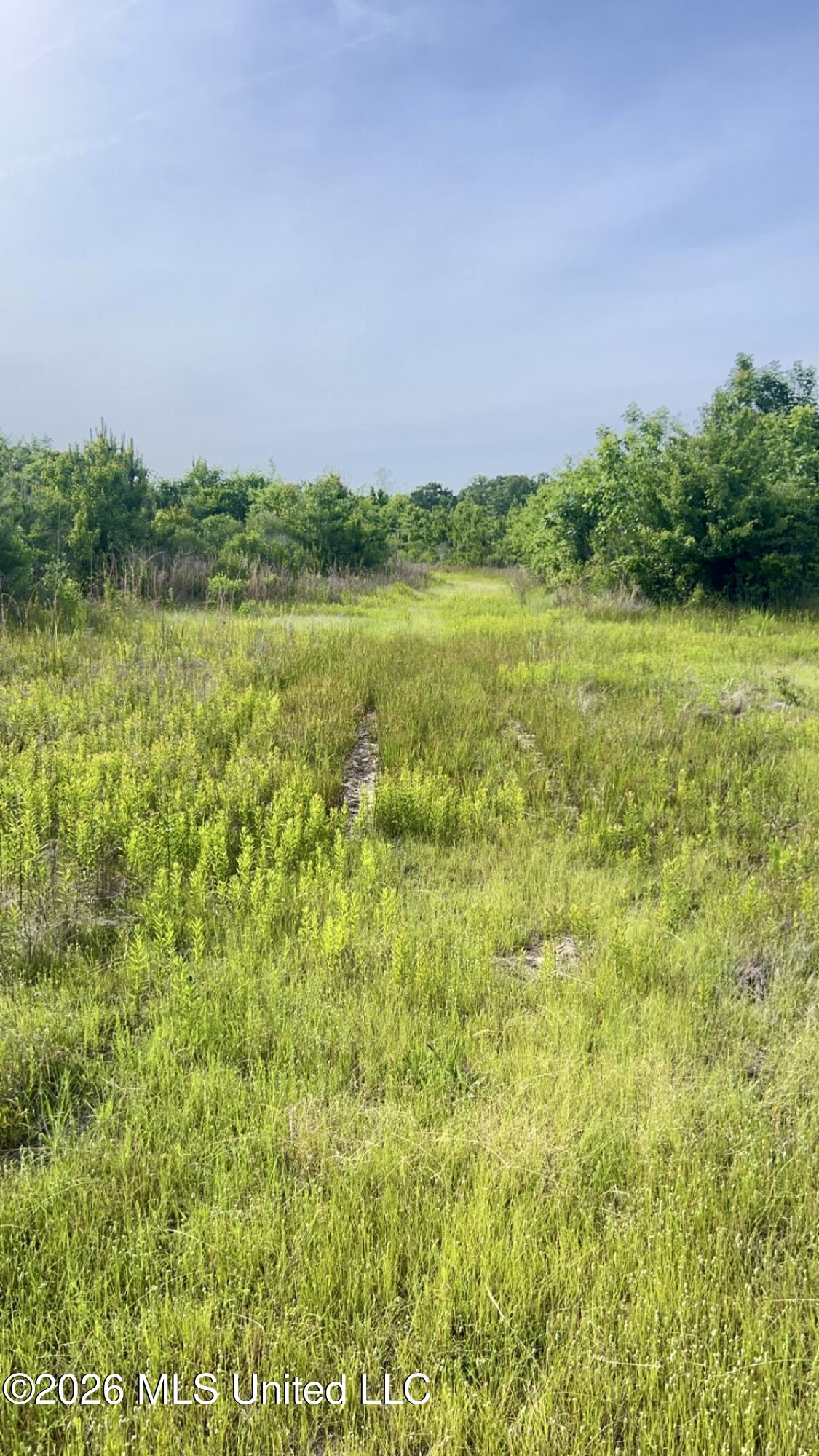 South Pearson Road Pearl, MS 39208 - Photo 23 of 30 IMG_8474