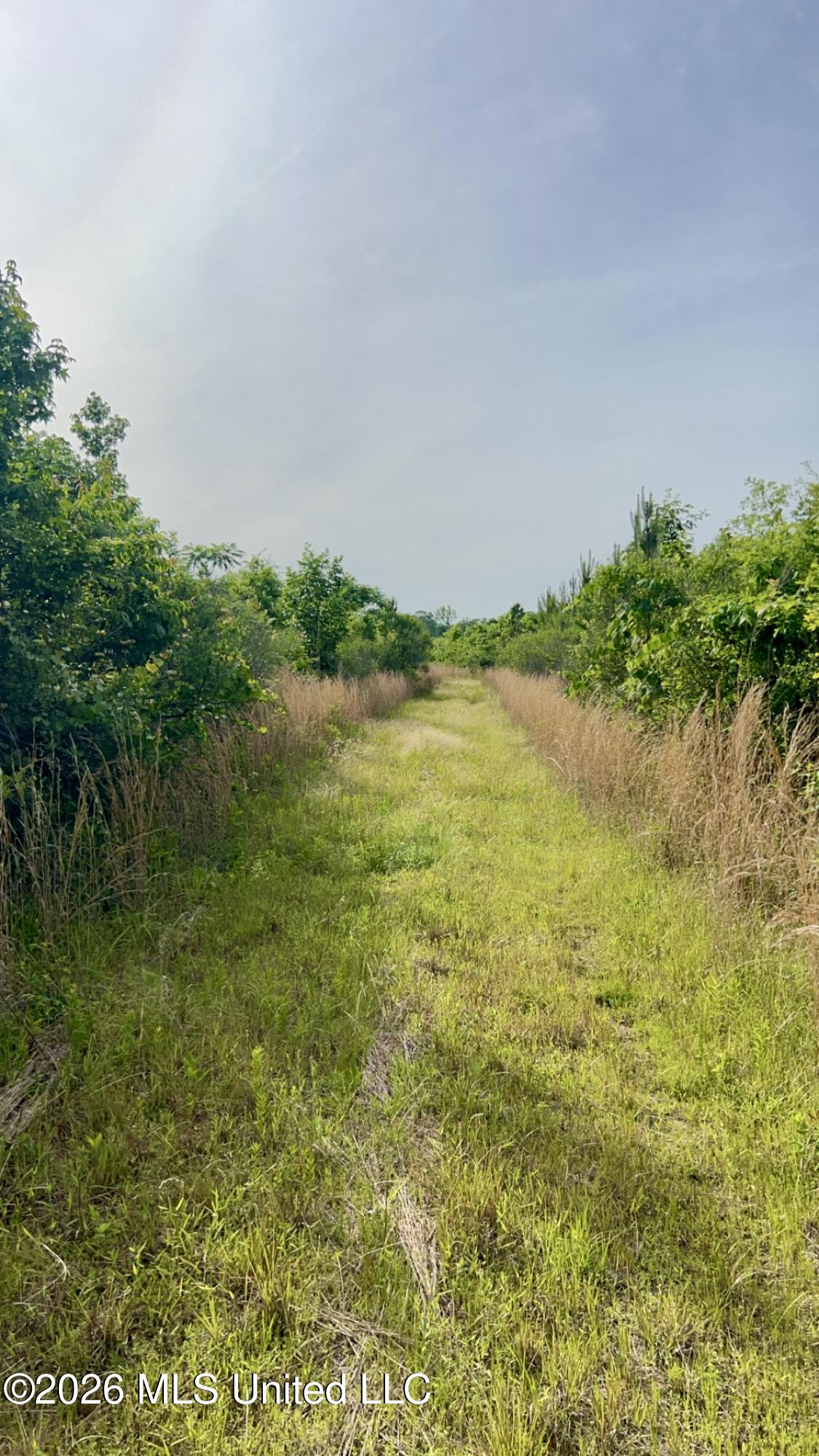 South Pearson Road Pearl, MS 39208 - Photo 25 of 30 IMG_8478