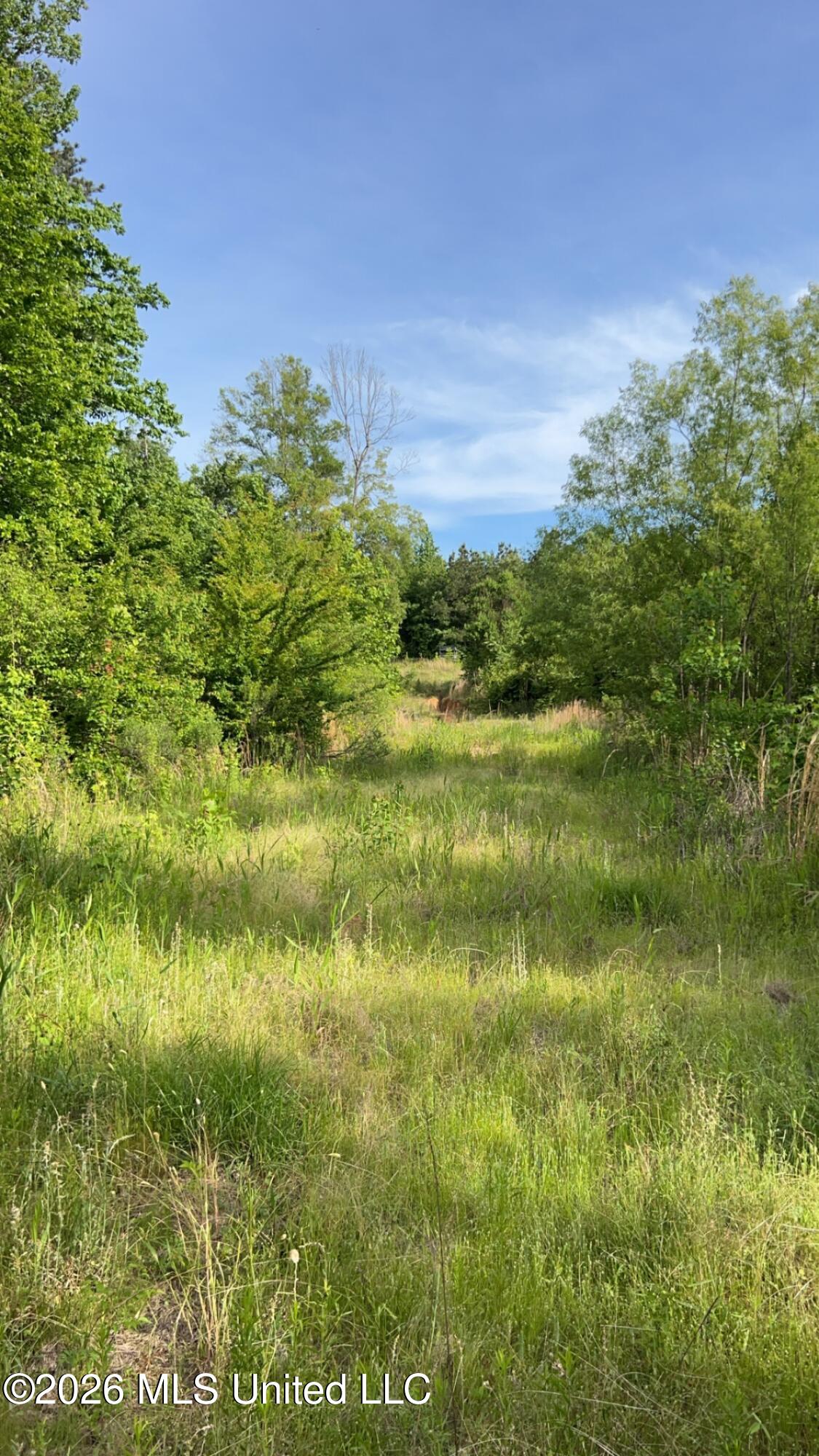 South Pearson Road Pearl, MS 39208 - Photo 26 of 30 IMG_8479