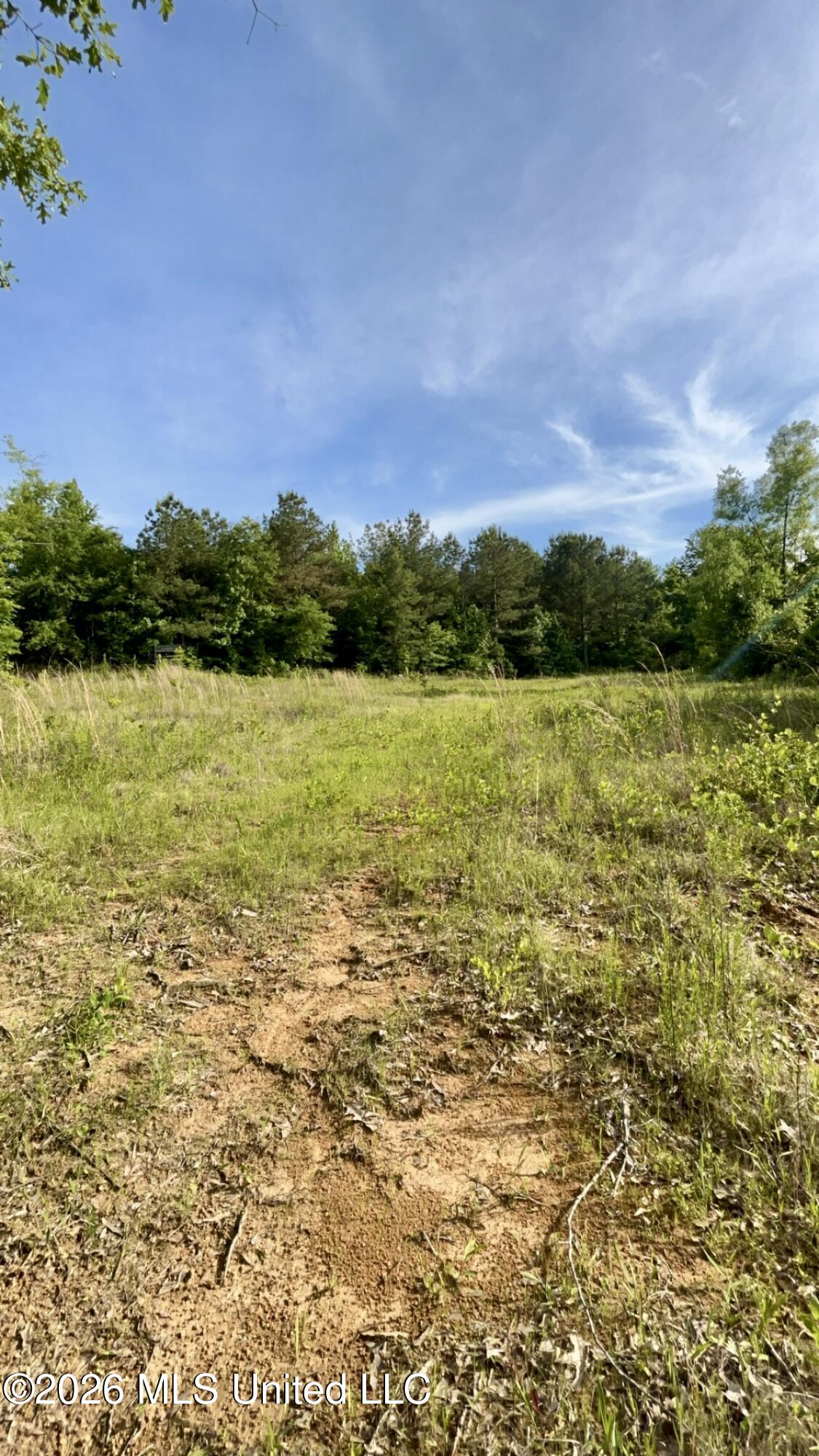 South Pearson Road Pearl, MS 39208 - Photo 27 of 30 IMG_8481