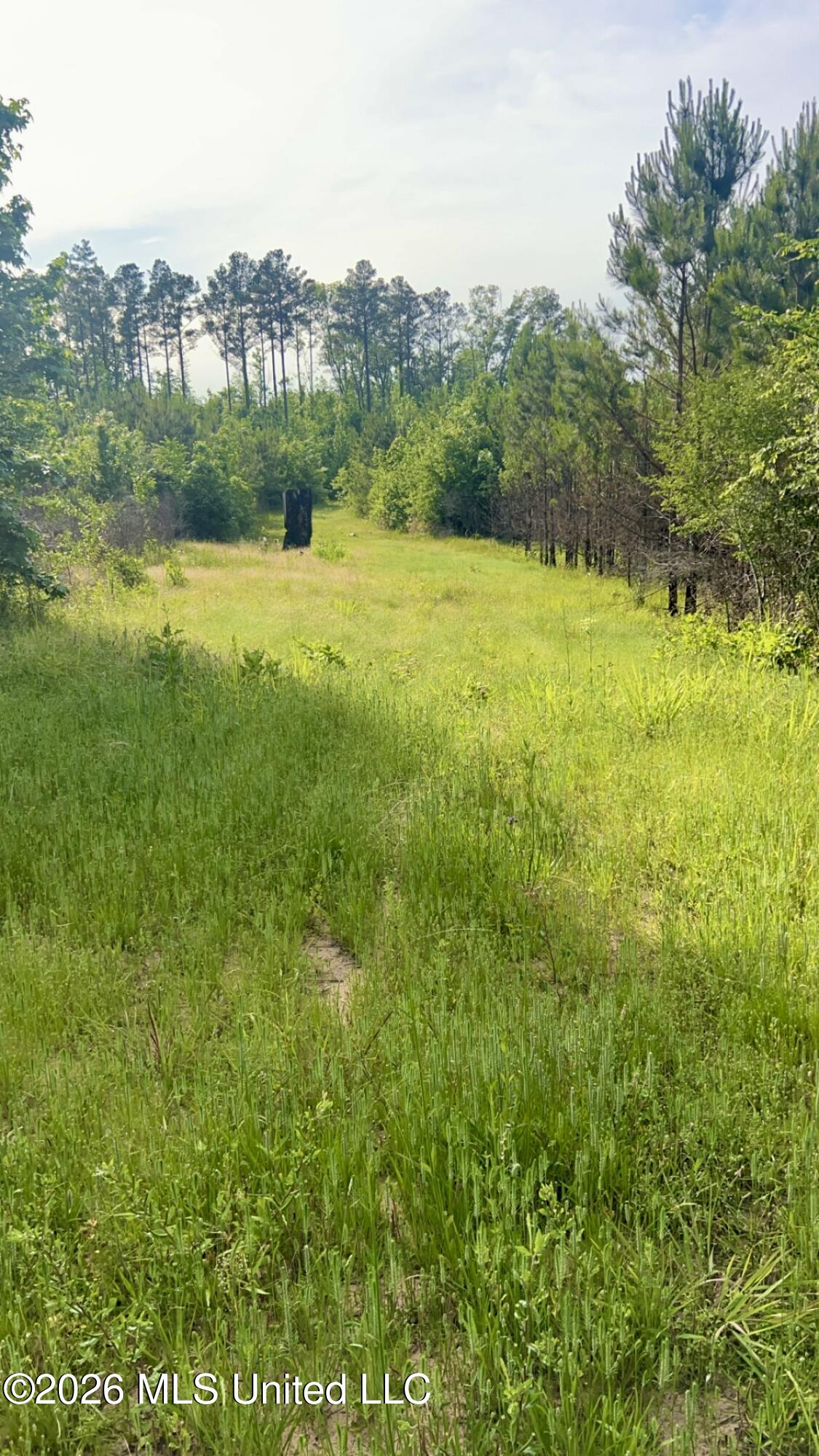 South Pearson Road Pearl, MS 39208 - Photo 28 of 30 IMG_8485