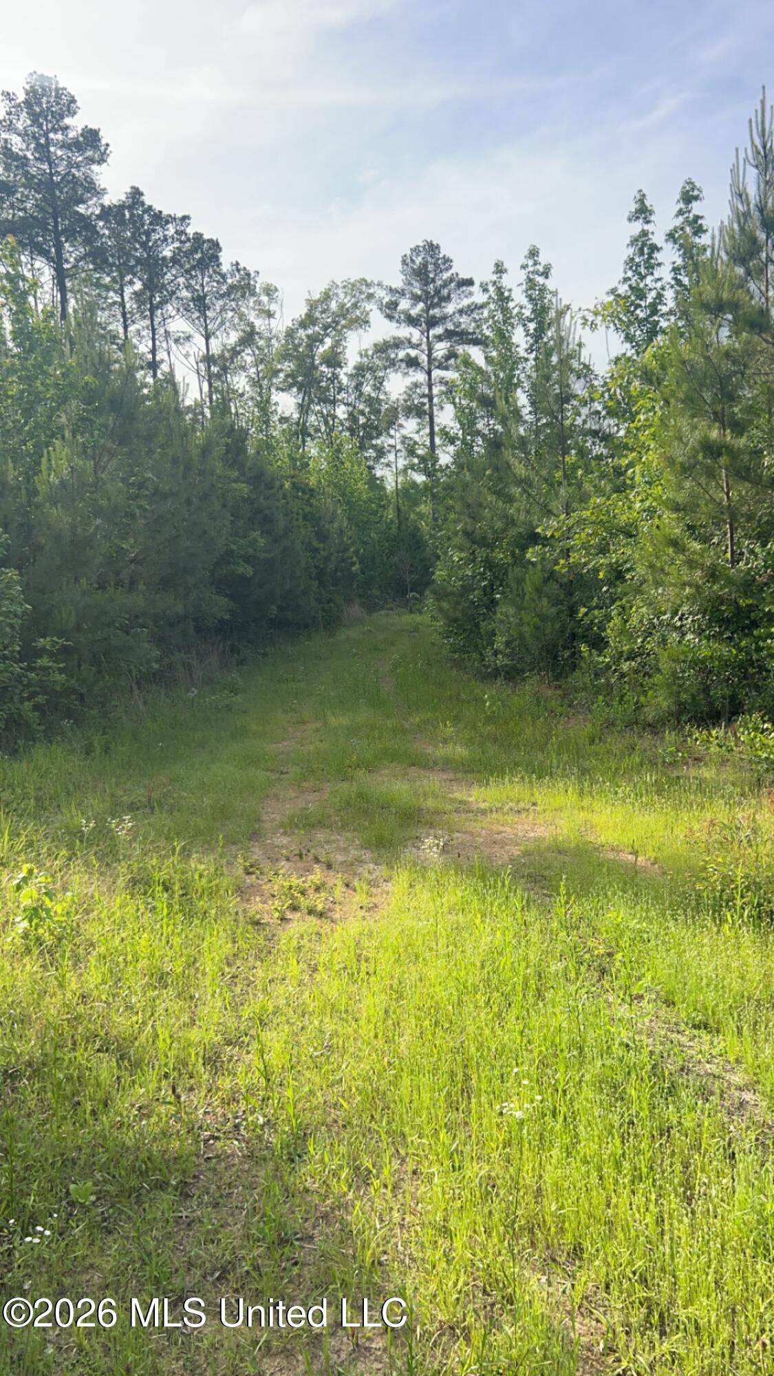 South Pearson Road Pearl, MS 39208 - Photo 29 of 30 IMG_8486