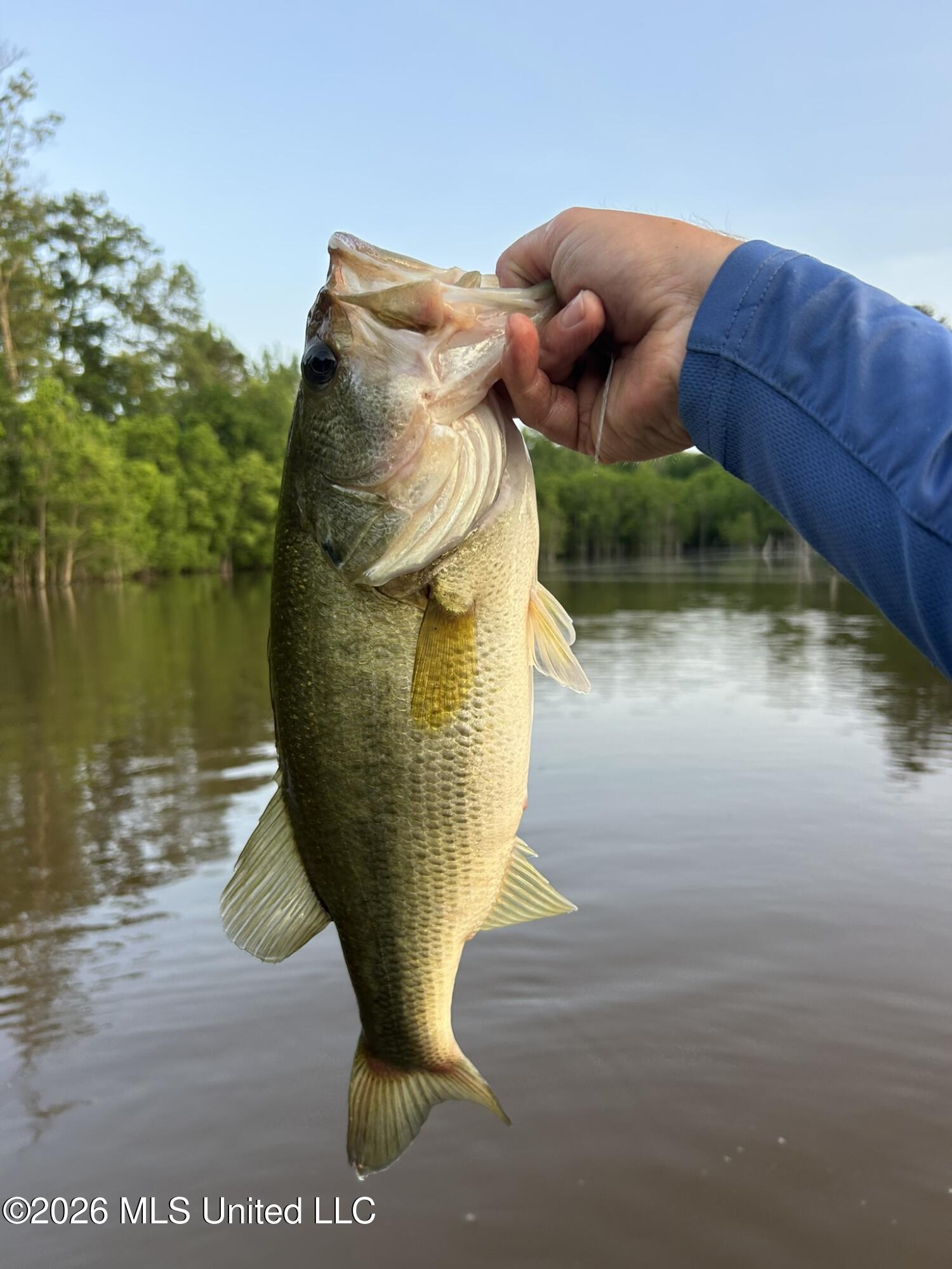 South Pearson Road Pearl, MS 39208 - Photo 30 of 30 IMG_8573