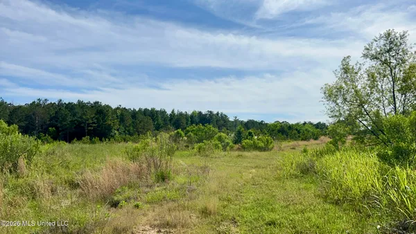 $2,100,000 | South Pearson Road, Pearl, MS 39208