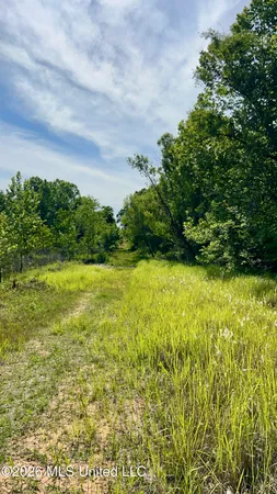 $2,100,000 | South Pearson Road, Pearl, MS 39208