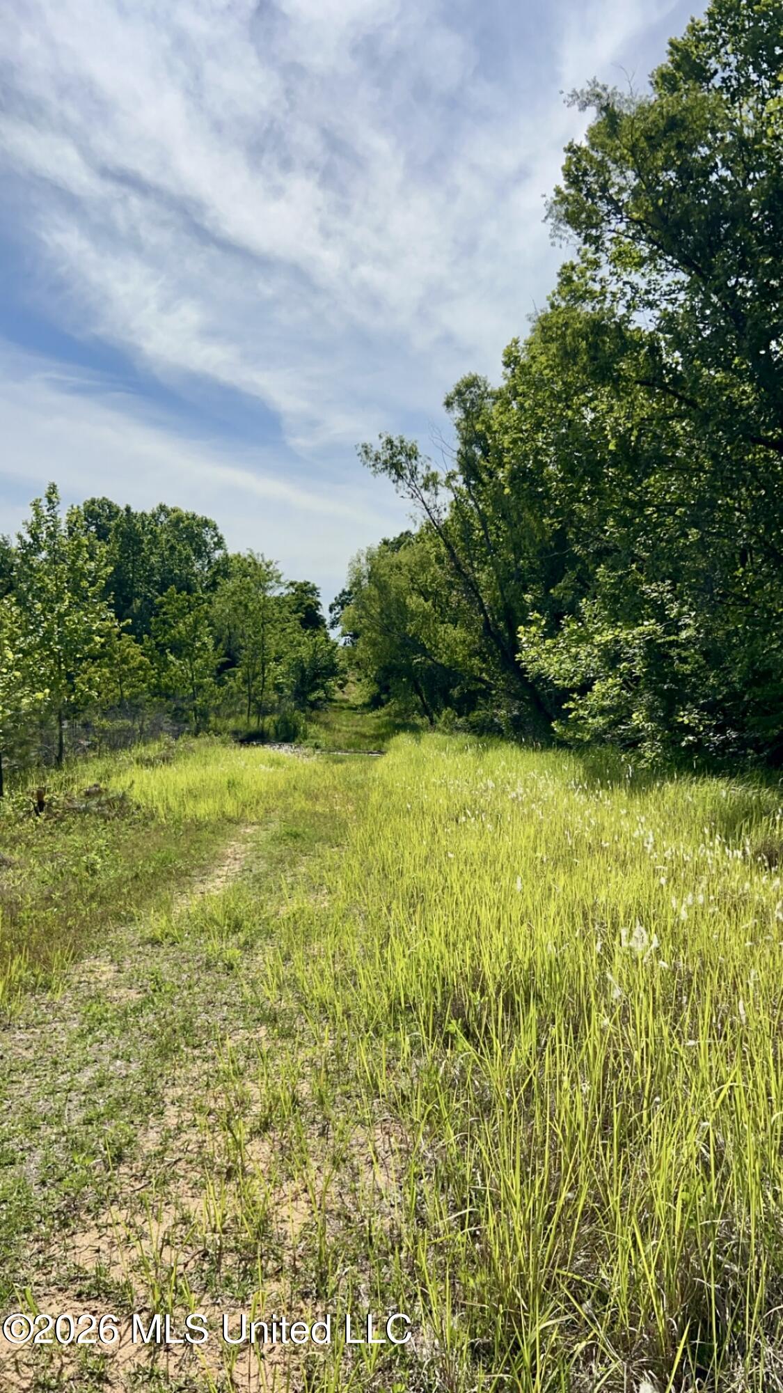 South Pearson Road Pearl, MS 39208 - Photo 4 of 30 IMG_8435