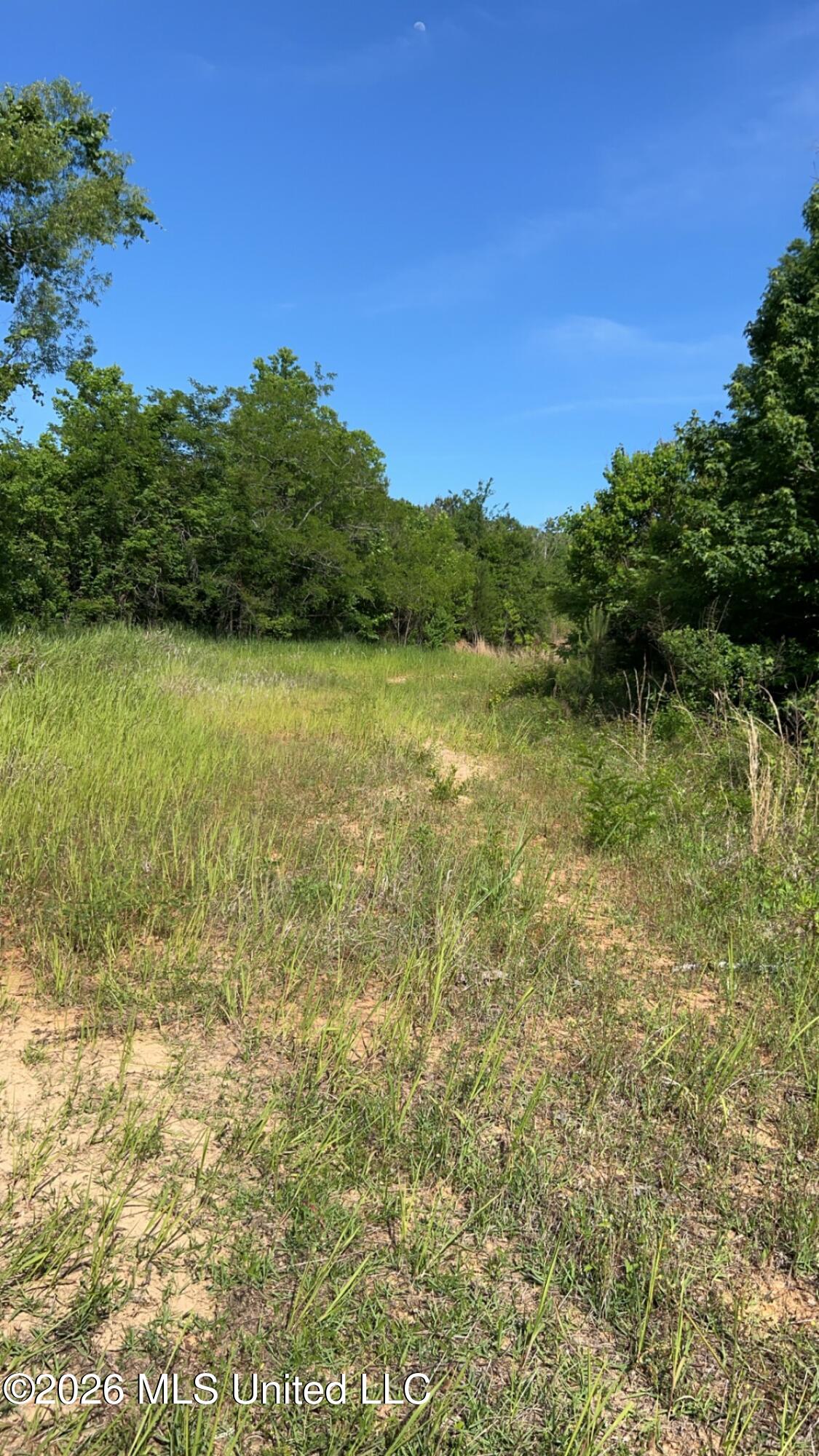 South Pearson Road Pearl, MS 39208 - Photo 5 of 30 IMG_8436