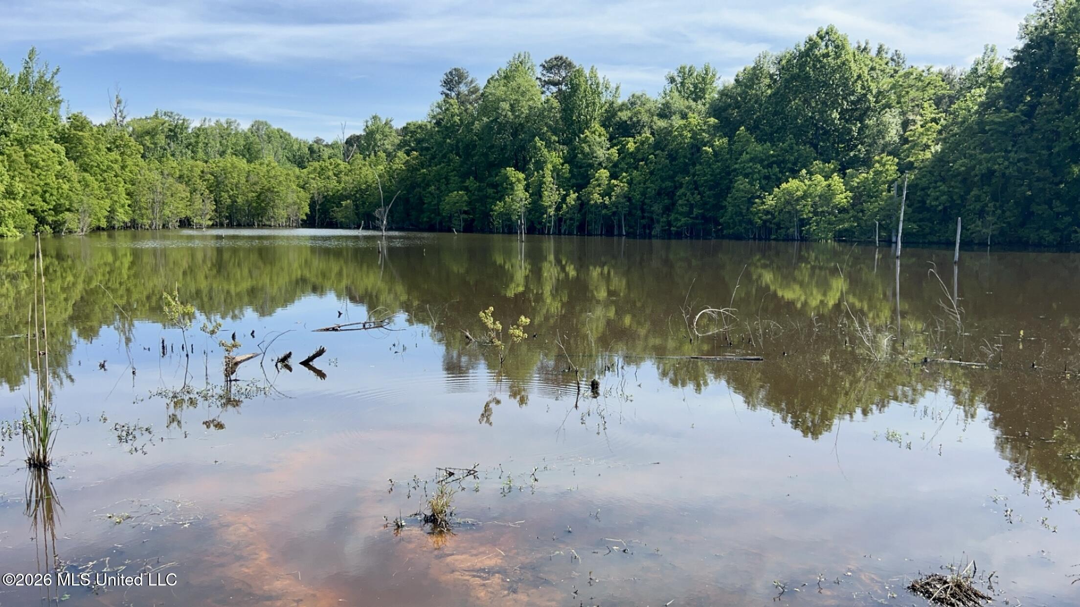 South Pearson Road Pearl, MS 39208 - Photo 6 of 30 IMG_8442