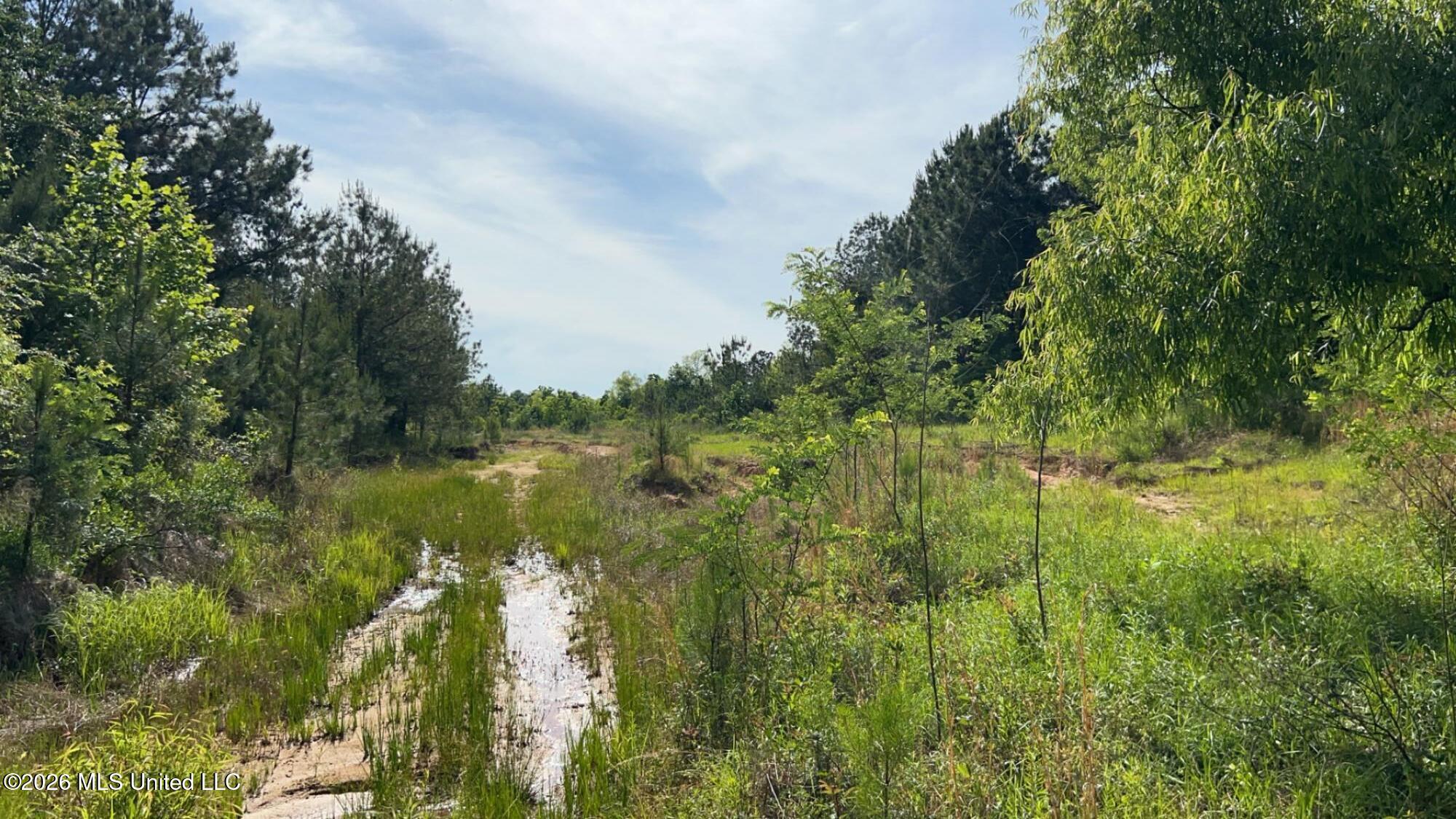 South Pearson Road Pearl, MS 39208 - Photo 7 of 30 IMG_8443