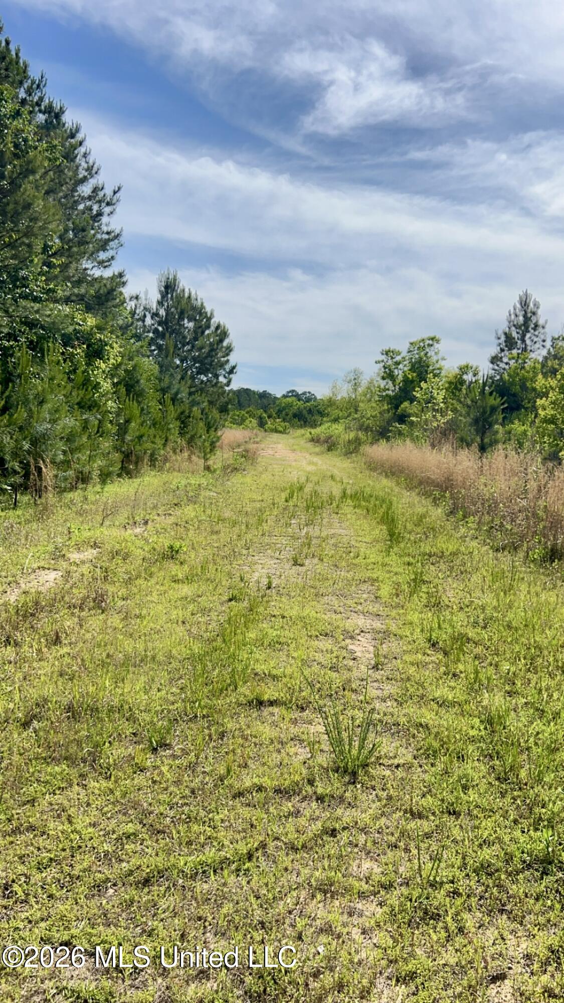 South Pearson Road Pearl, MS 39208 - Photo 8 of 30 IMG_8445