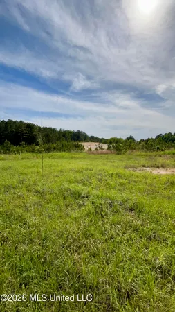 $2,100,000 | South Pearson Road, Pearl, MS 39208