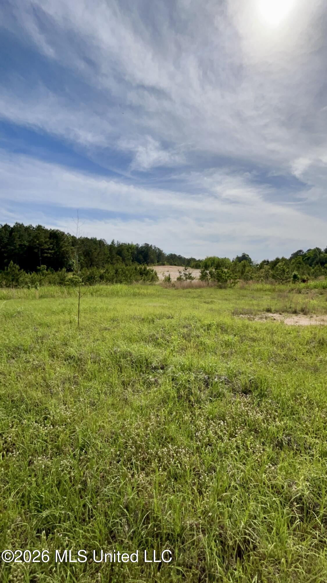 South Pearson Road Pearl, MS 39208 - Photo 9 of 30 IMG_8450