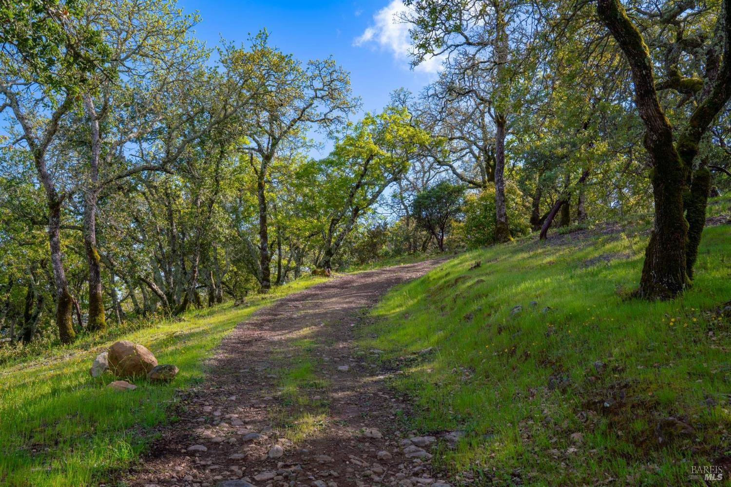 17355 Norrbom Road Sonoma, CA 95476 - Photo 45 of 53