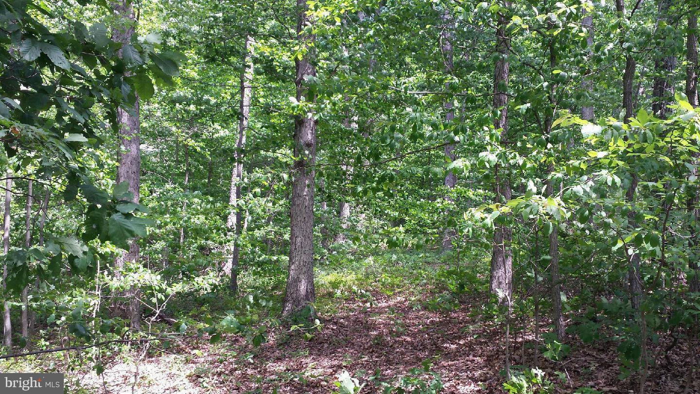 Lot 1 Rock Ridge Road Front Royal, VA 22630 - Photo 3 of 5