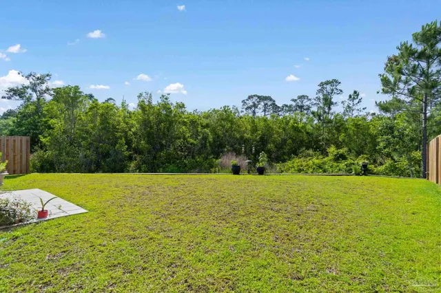 a view of a field with some trees in the background