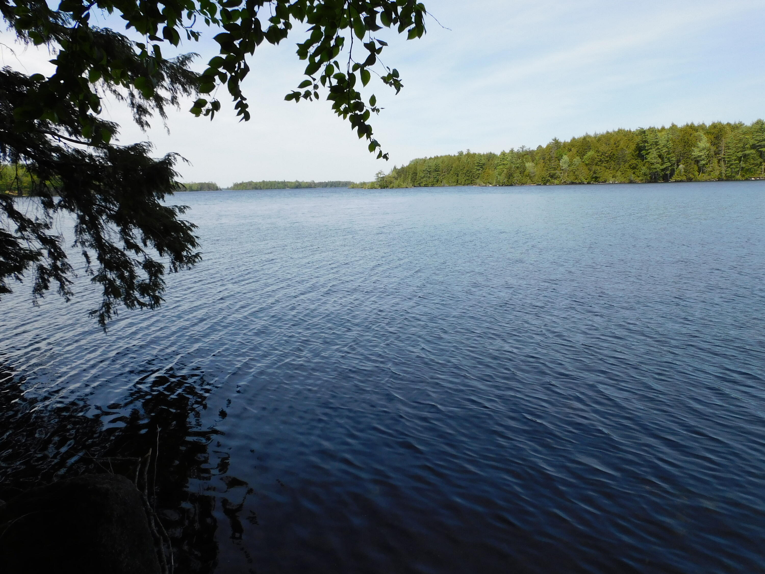 Lot 2 Big Lake Shores Road Princeton, ME 04668 - Photo 4 of 10 DSCN0096