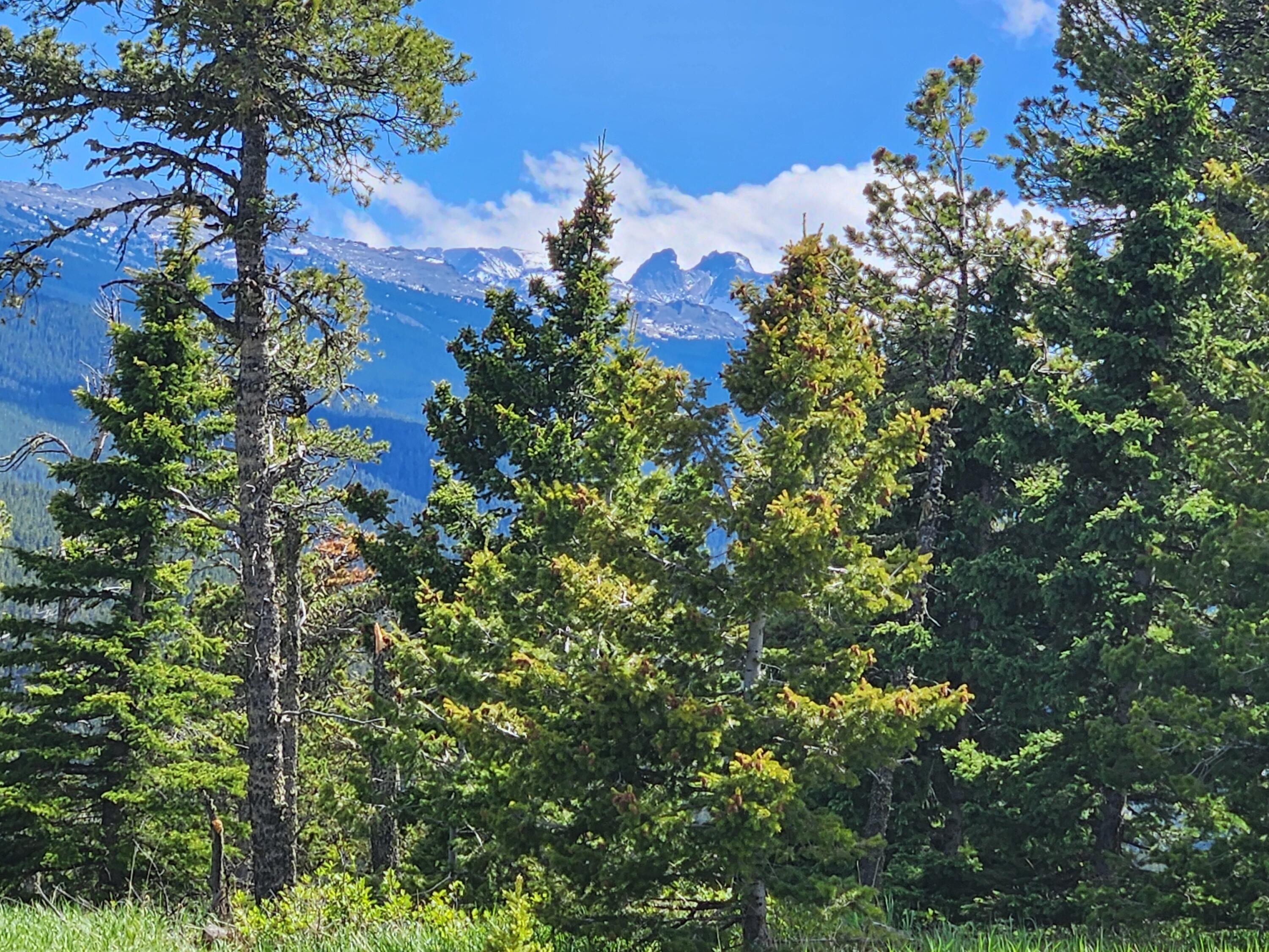 12 Blacktooth Road Big Horn, WY 82833 - Photo 1 of 25 Peak View