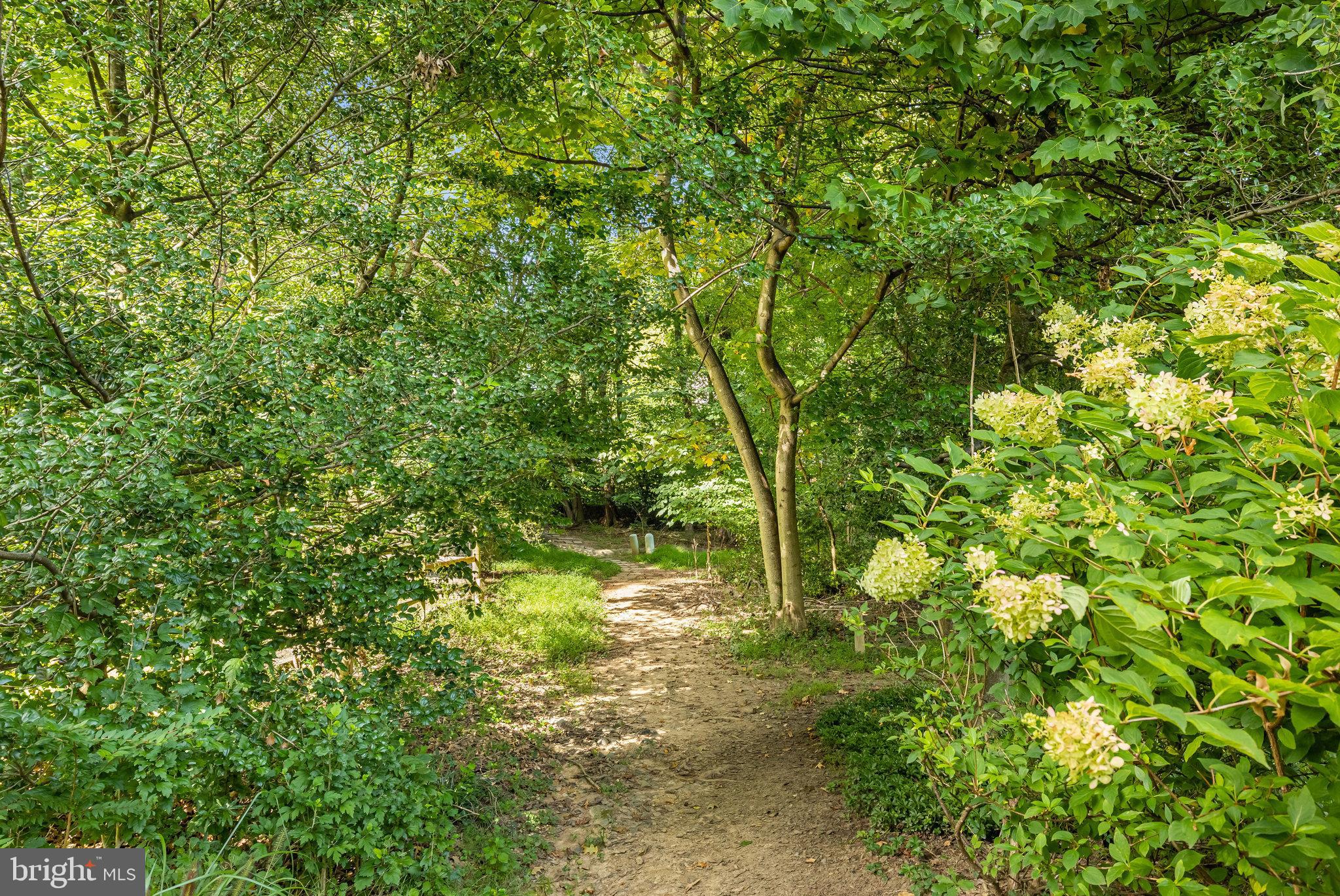 11482 Bingham Terrace Reston, VA 20191 - Photo 54 of 59