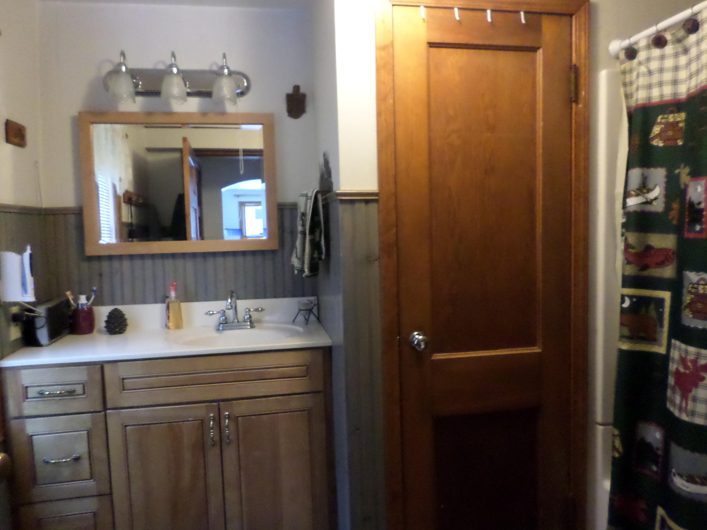 7174 South Forrest Side Road Brimley, MI 49715 - Photo 12 of 51 Gallery Image 12