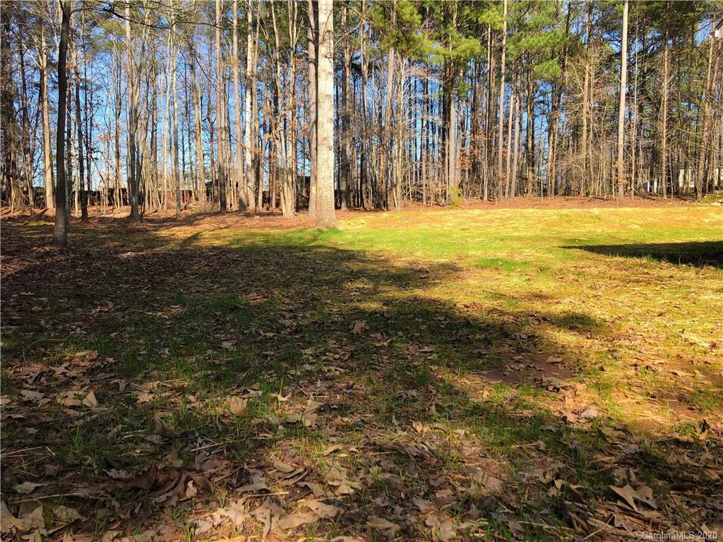 6706 Lineberger Road, Unit 21 Denver, NC 28037 - Photo 3 of 25 Gallery Image 3