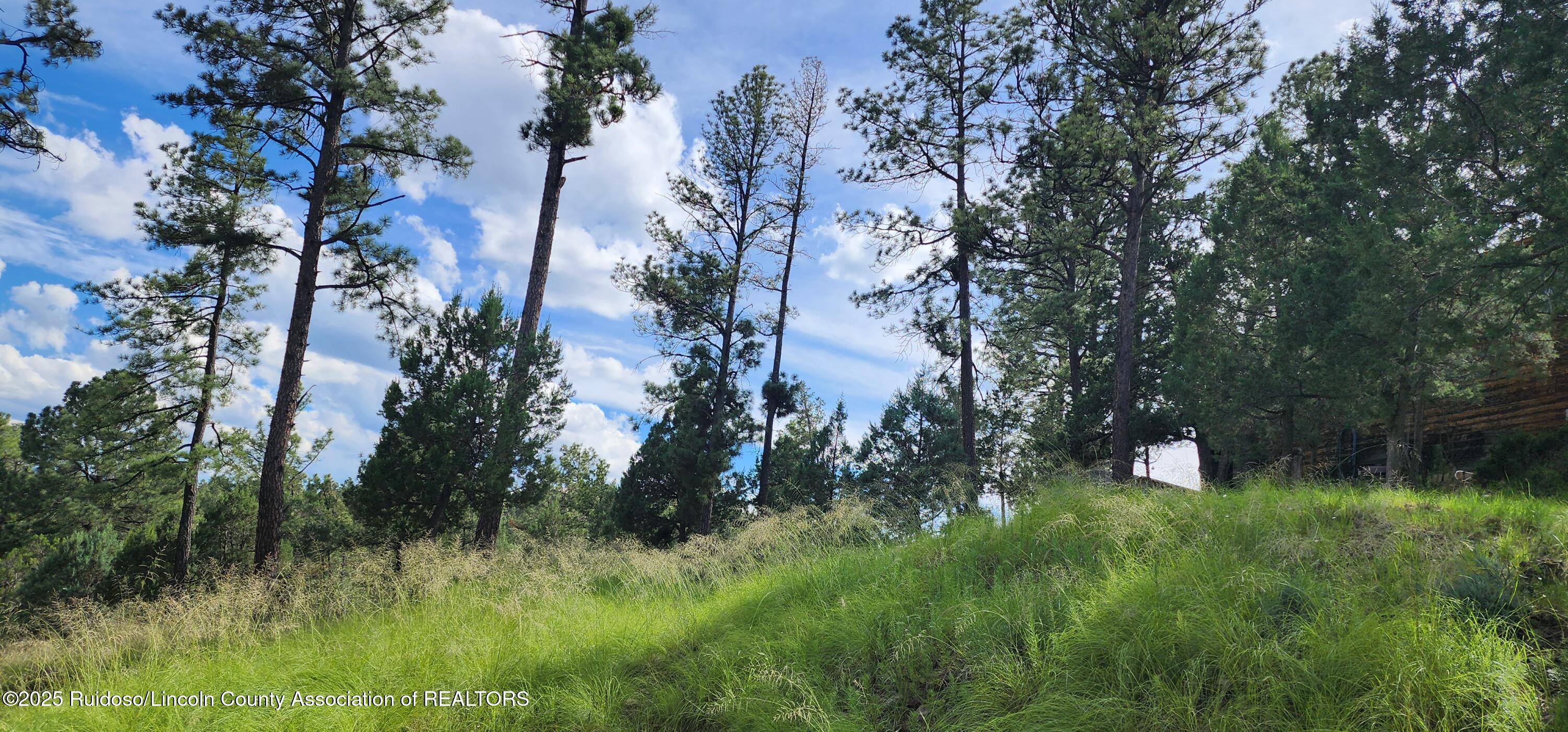 213 3rd Street Ruidoso, NM 88345 - Photo 1 of 1 Gallery Image 1