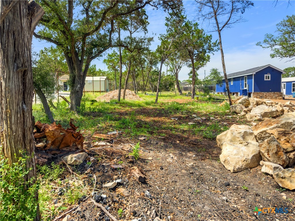 211 Rip Ford Road Spring Branch, TX 78070 - Photo 1 of 1 a view of yard with tree s