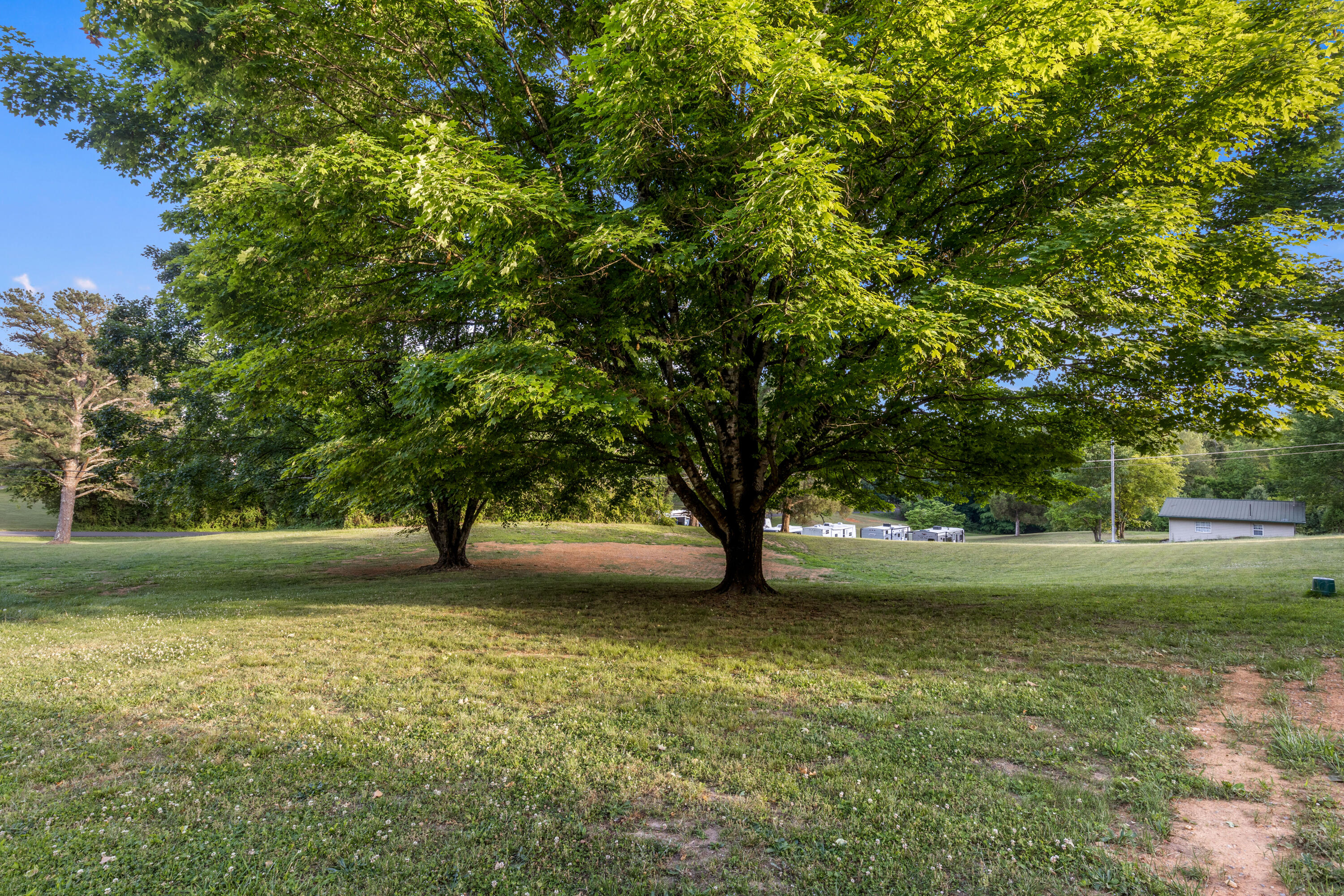 552 Dreamland Road Spring City, TN 37381 - Photo 45 of 74 Dreamland-40