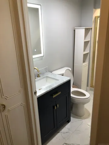 a bathroom with a sink a toilet a mirror and vanity