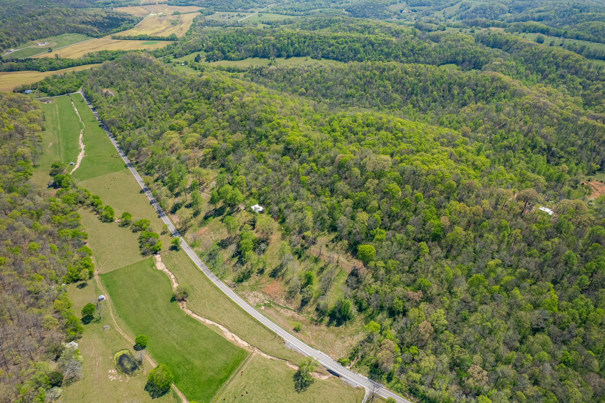 8039 Campbellsville Road Pulaski, TN 38478 - Photo 58 of 100
