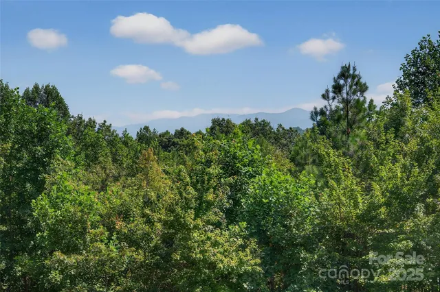 $575,000 | 26 Lakeview Trail, Nebo, NC 28761