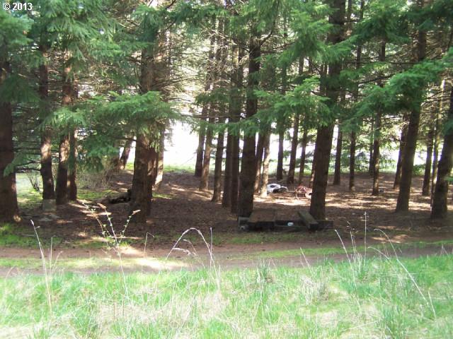 695 Northwest Loop Road White Salmon, WA 98672 - Photo 3 of 8 Gallery Image 3