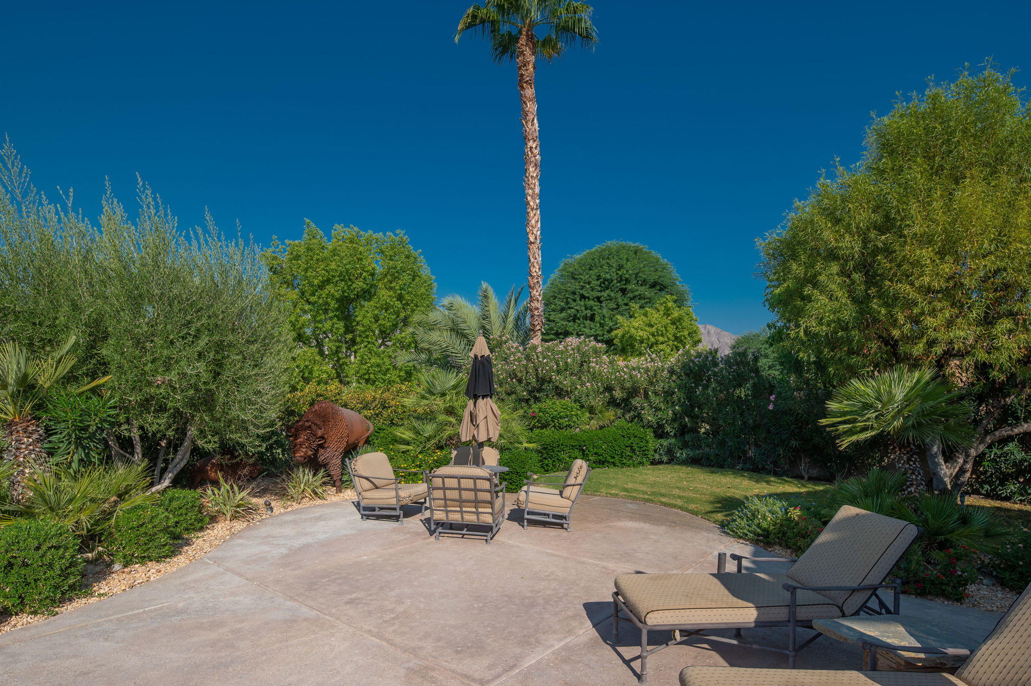 57325 Peninsula Lane La Quinta, CA 92253 - Photo 27 of 66 a view of backyard with plants and outdoor seating
