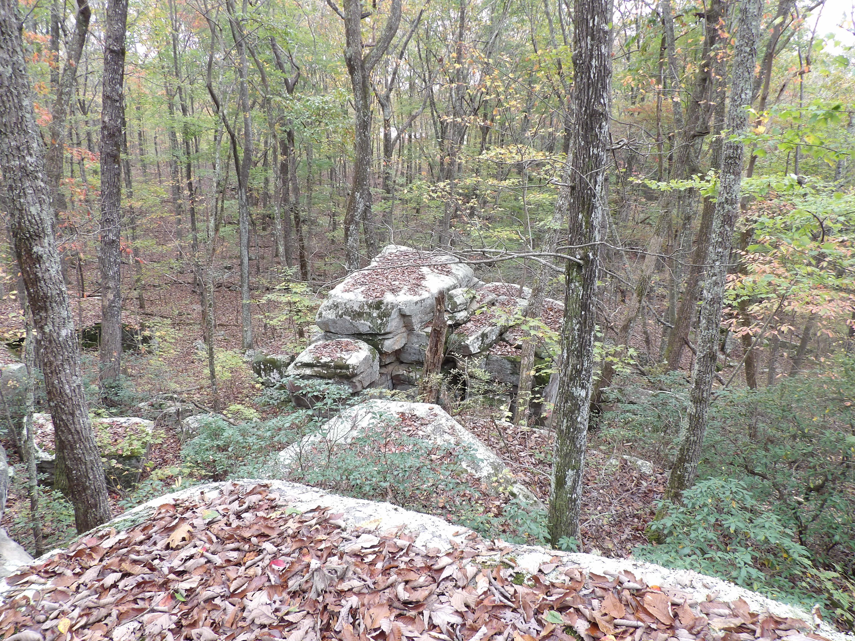 0 Fernhill Road, Unit 65 Pikeville, TN 37367 - Photo 16 of 24 100_1649